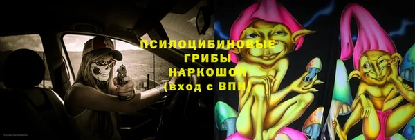 индика Верхний Тагил