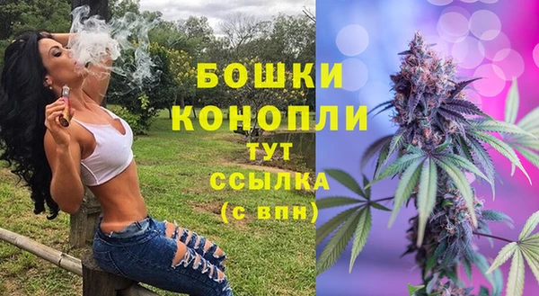 индика Верхний Тагил